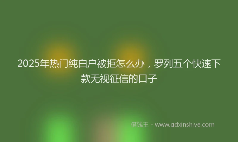2025年热门纯白户被拒怎么办，罗列五个快速下款无视征信的口子