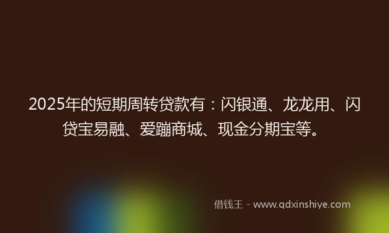 2025年的短期周转贷款有：闪银通、龙龙用、闪贷宝易融、爱蹦商城、现金分期宝等。