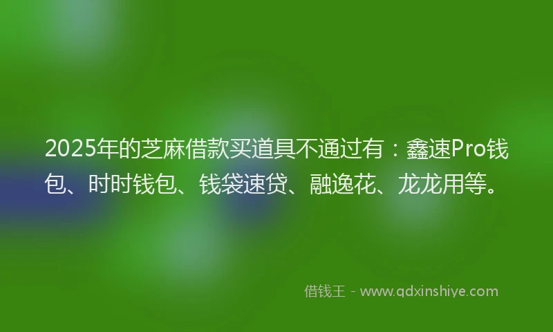 2025年的芝麻借款买道具不通过有：鑫速Pro钱包、时时钱包、钱袋速贷、融逸花、龙龙用等。