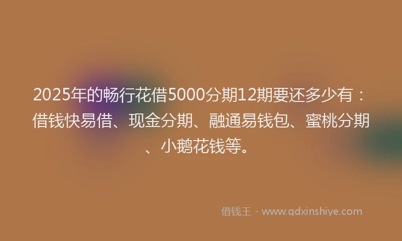 2025年的畅行花借5000分期12期要还多少有：借钱快易借、现金分期、融通易钱包、蜜桃分期、小鹅花钱等。