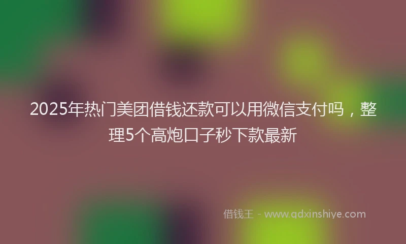 2025年热门美团借钱还款可以用微信支付吗，整理5个高炮口子秒下款最新