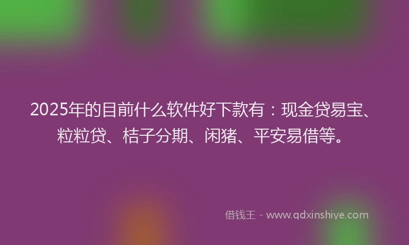 2025年的目前什么软件好下款有：现金贷易宝、粒粒贷、桔子分期、闲猪、平安易借等。