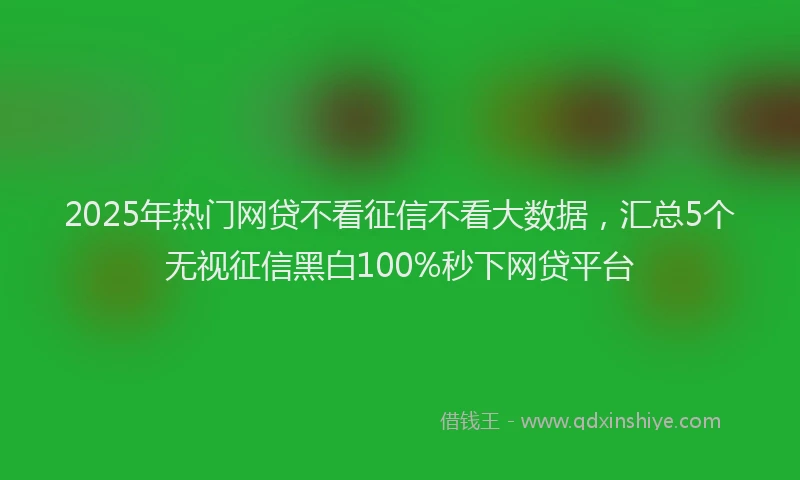 2025年热门网贷不看征信不看大数据，汇总5个无视征信黑白100%秒下网贷平台