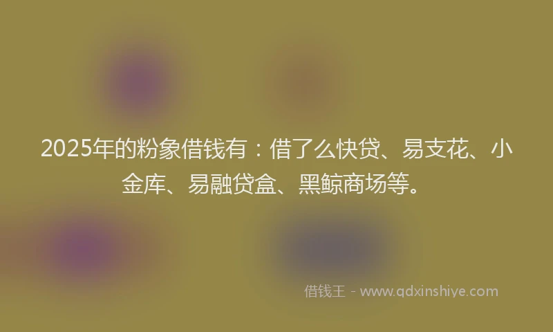 2025年的粉象借钱有：借了么快贷、易支花、小金库、易融贷盒、黑鲸商场等。