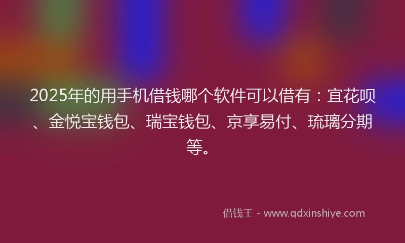 2025年的用手机借钱哪个软件可以借有：宜花呗、金悦宝钱包、瑞宝钱包、京享易付、琉璃分期等。