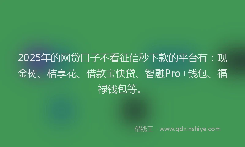2025年的网贷口子不看征信秒下款的平台有：现金树、桔享花、借款宝快贷、智融Pro+钱包、福禄钱包等。