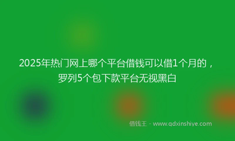 2025年热门网上哪个平台借钱可以借1个月的，罗列5个包下款平台无视黑白