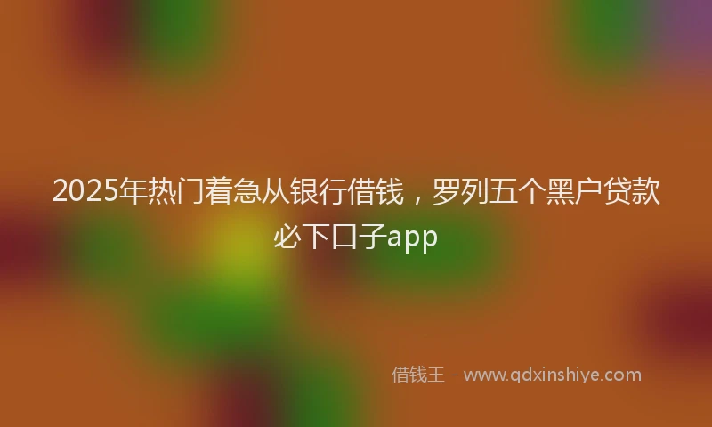 2025年热门着急从银行借钱,罗列五个黑户贷款必下口子app