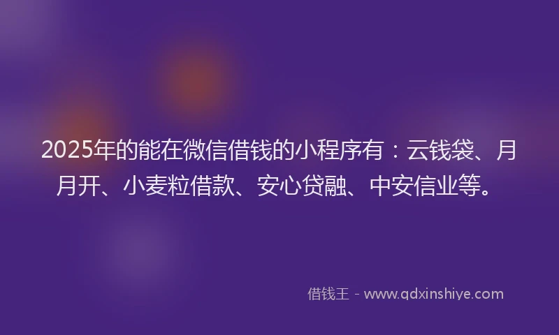 2025年的能在微信借钱的小程序有:云钱袋、月月开、小麦粒借款、安心贷融、中安信业等。