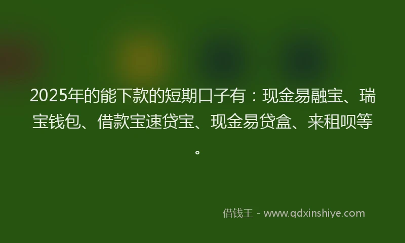 2025年的能下款的短期口子有：现金易融宝、瑞宝钱包、借款宝速贷宝、现金易贷盒、来租呗等。