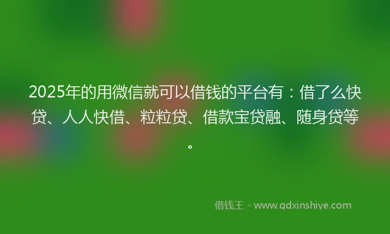 2025年的用微信就可以借钱的平台有：借了么快贷、人人快借、粒粒贷、借款宝贷融、随身贷等。