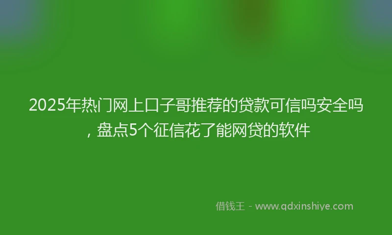 2025年热门网上口子哥推荐的贷款可信吗安全吗，盘点5个征信花了能网贷的软件