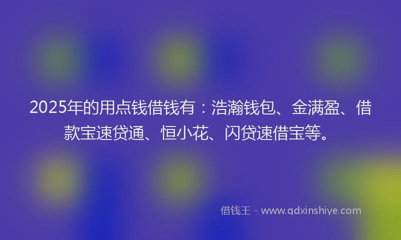 2025年的用点钱借钱有：浩瀚钱包、金满盈、借款宝速贷通、恒小花、闪贷速借宝等。