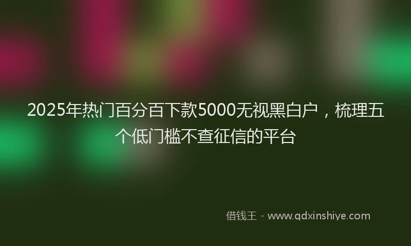 2025年热门百分百下款5000无视黑白户，梳理五个低门槛不查征信的平台