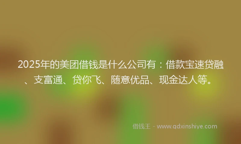 2025年的美团借钱是什么公司有:借款宝速贷融、支富通、贷你飞、随意优品、现金达人等。