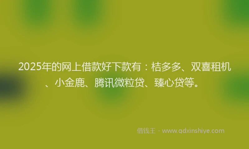 2025年的网上借款好下款有：桔多多、双喜租机、小金鹿、腾讯微粒贷、臻心贷等。