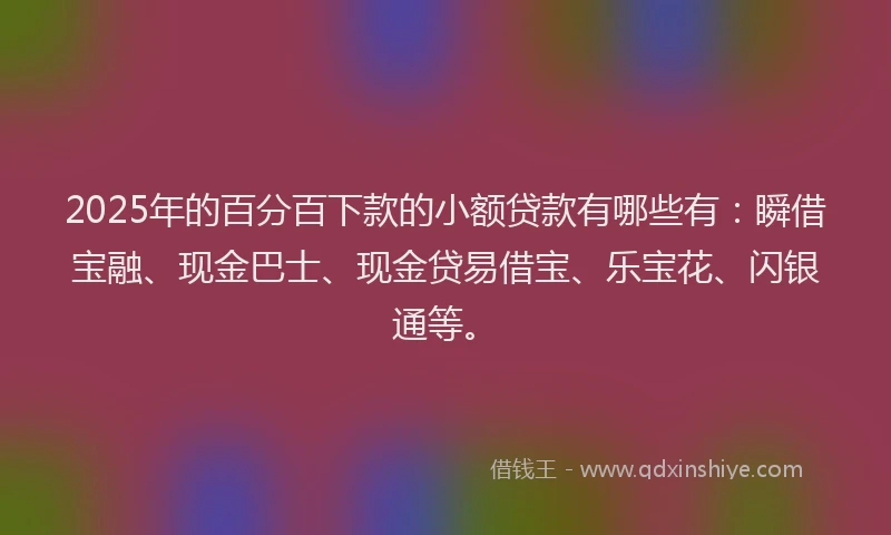 2025年的百分百下款的小额贷款有哪些有：瞬借宝融、现金巴士、现金贷易借宝、乐宝花、闪银通等。