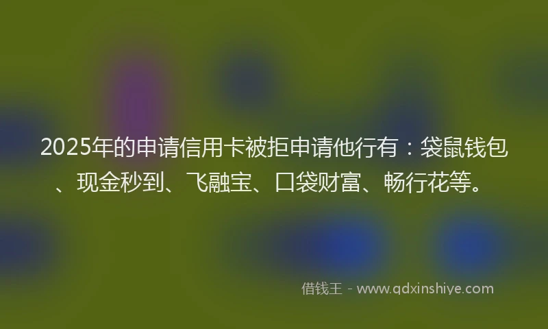 2025年的申请信用卡被拒申请他行有：袋鼠钱包、现金秒到、飞融宝、口袋财富、畅行花等。