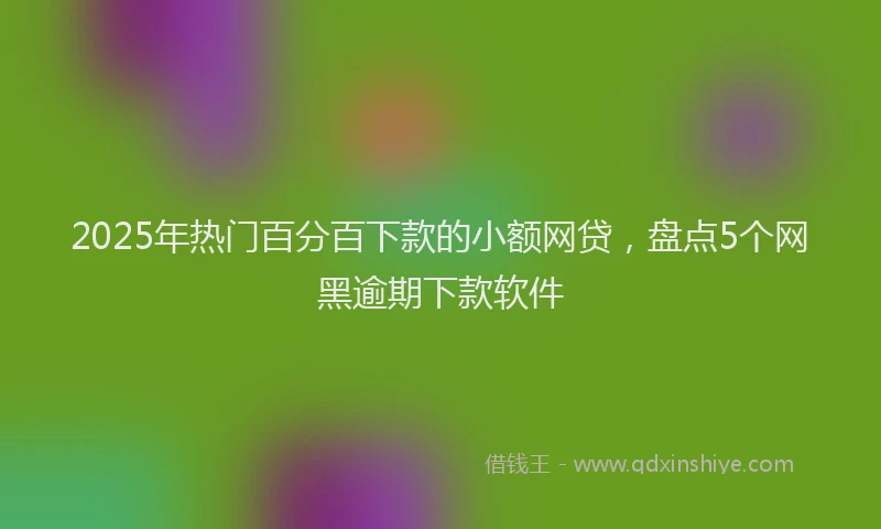 2025年热门百分百下款的小额网贷，盘点5个网黑逾期下款软件