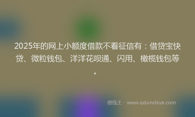 2025年的网上小额度借款不看征信有：借贷宝快贷、微粒钱包、洋洋花呗通、闪用、橄榄钱包等。