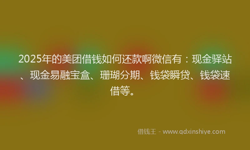 2025年的美团借钱如何还款啊微信有:现金驿站、现金易融宝盒、珊瑚分期、钱袋瞬贷、钱袋速借等。