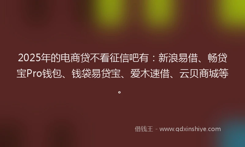 2025年的电商贷不看征信吧有：新浪易借、畅贷宝Pro钱包、钱袋易贷宝、爱木速借、云贝商城等。