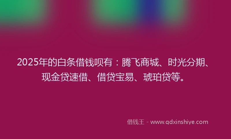2025年的白条借钱呗有：腾飞商城、时光分期、现金贷速借、借贷宝易、琥珀贷等。