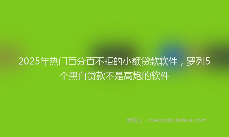 2025年热门百分百不拒的小额贷款软件，罗列5个黑白贷款不是高炮的软件