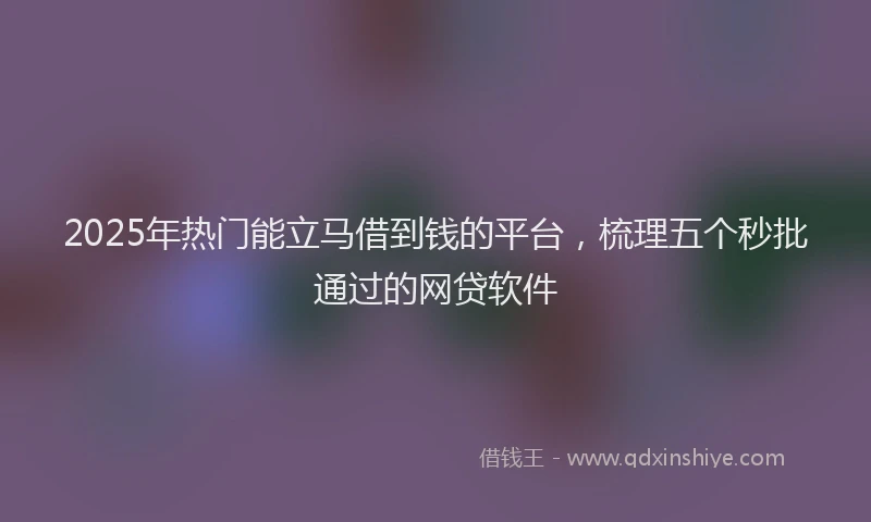 2025年热门能立马借到钱的平台,梳理五个秒批通过的网贷软件