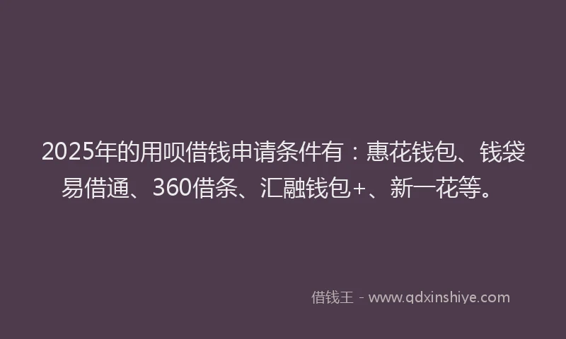 2025年的用呗借钱申请条件有：惠花钱包、钱袋易借通、360借条、汇融钱包+、新一花等。