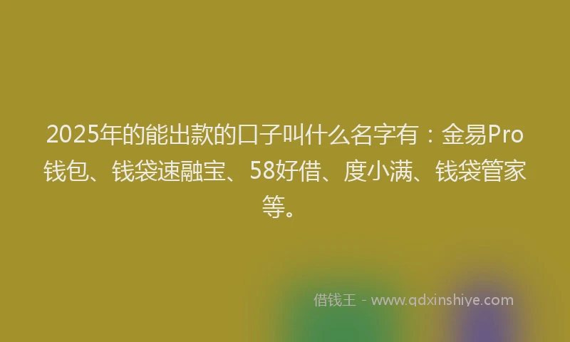 2025年的能出款的口子叫什么名字有:金易Pro钱包、钱袋速融宝、58好借、度小满、钱袋管家等。