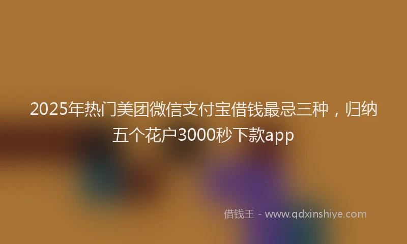 2025年热门美团微信支付宝借钱最忌三种，归纳五个花户3000秒下款app