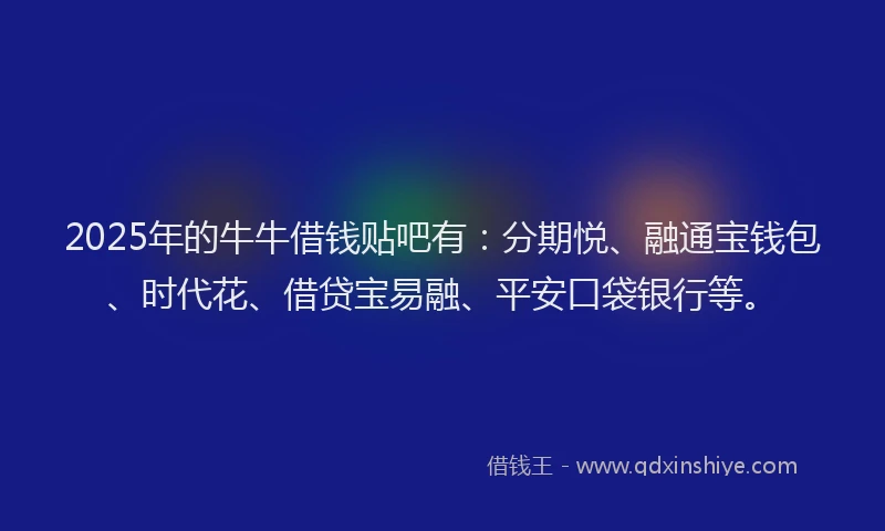 2025年的牛牛借钱贴吧有：分期悦、融通宝钱包、时代花、借贷宝易融、平安口袋银行等。