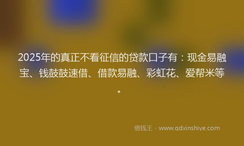 2025年的真正不看征信的贷款口子有：现金易融宝、钱鼓鼓速借、借款易融、彩虹花、爱帮米等。