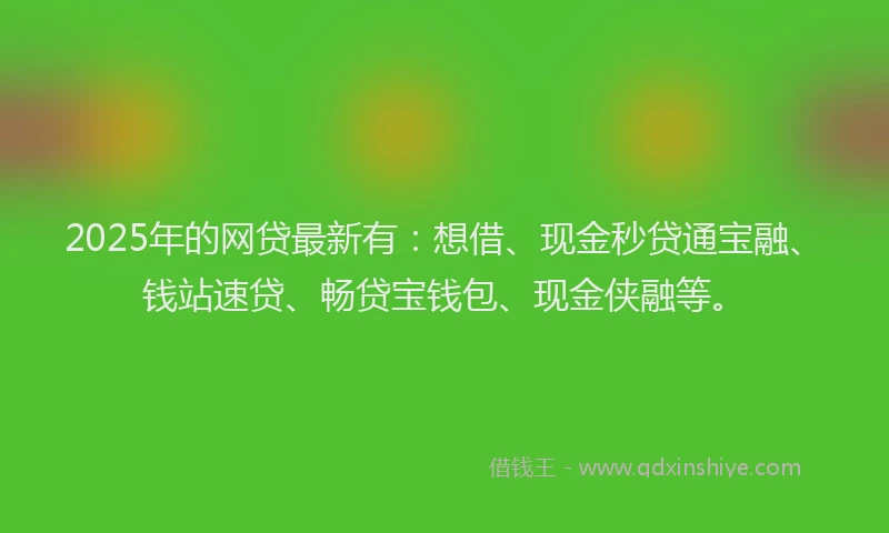 2025年的网贷最新有：想借、现金秒贷通宝融、钱站速贷、畅贷宝钱包、现金侠融等。