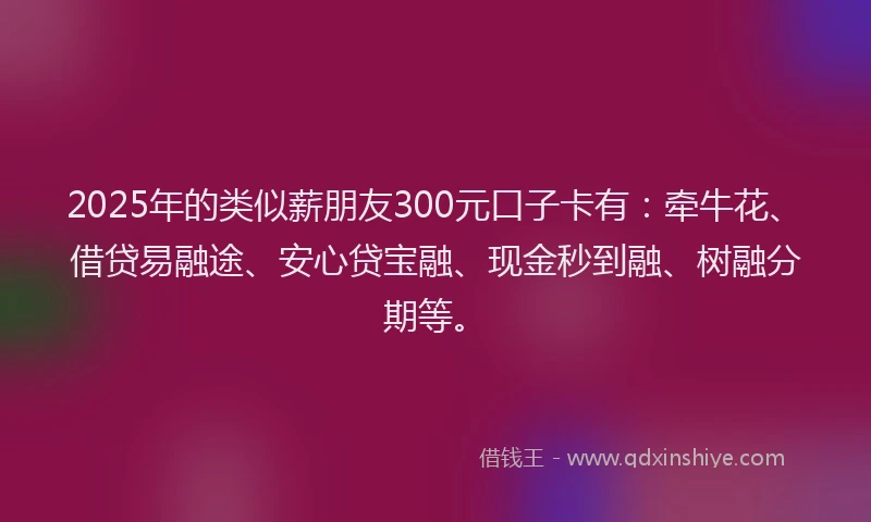 2025年的类似薪朋友300元口子卡有：牵牛花、借贷易融途、安心贷宝融、现金秒到融、树融分期等。