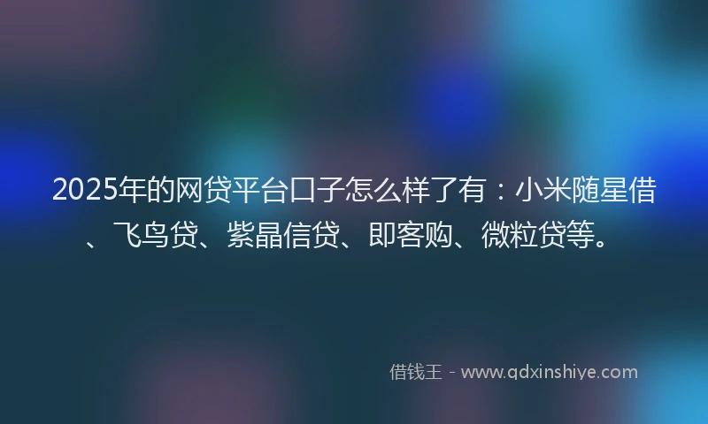 2025年的网贷平台口子怎么样了有：小米随星借、飞鸟贷、紫晶信贷、即客购、微粒贷等。