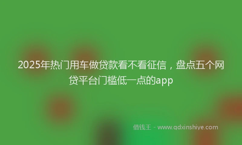 2025年热门用车做贷款看不看征信，盘点五个网贷平台门槛低一点的app