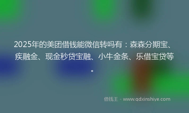 2025年的美团借钱能微信转吗有：森森分期宝、疾融金、现金秒贷宝融、小牛金条、乐借宝贷等。
