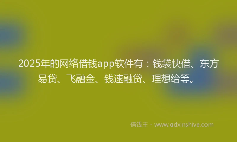2025年的网络借钱app软件有：钱袋快借、东方易贷、飞融金、钱速融贷、理想给等。