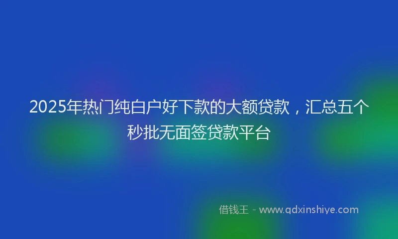 2025年热门纯白户好下款的大额贷款，汇总五个秒批无面签贷款平台