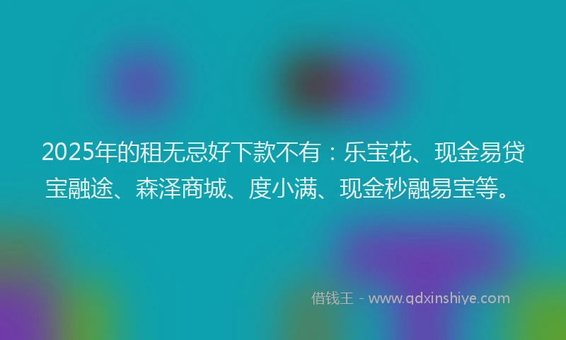 2025年的租无忌好下款不有：乐宝花、现金易贷宝融途、森泽商城、度小满、现金秒融易宝等。