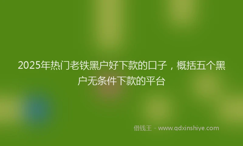 2025年热门老铁黑户好下款的口子,概括五个黑户无条件下款的平台