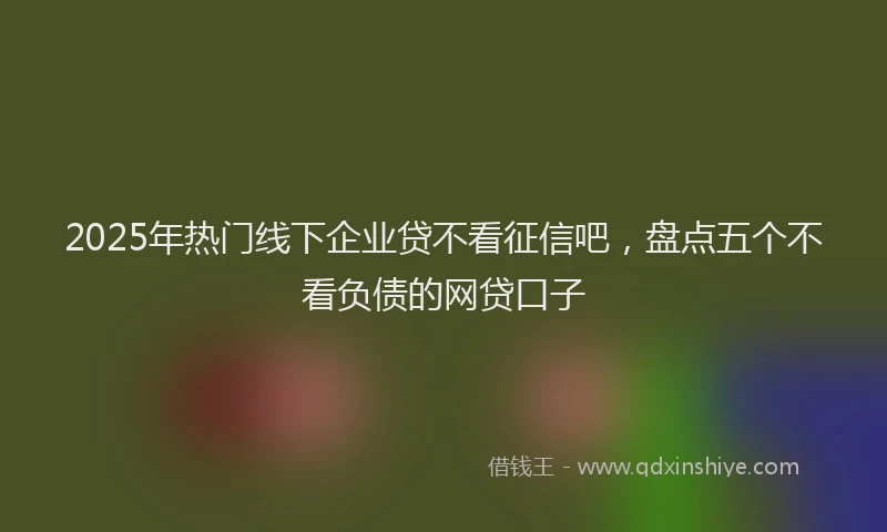 2025年热门线下企业贷不看征信吧，盘点五个不看负债的网贷口子