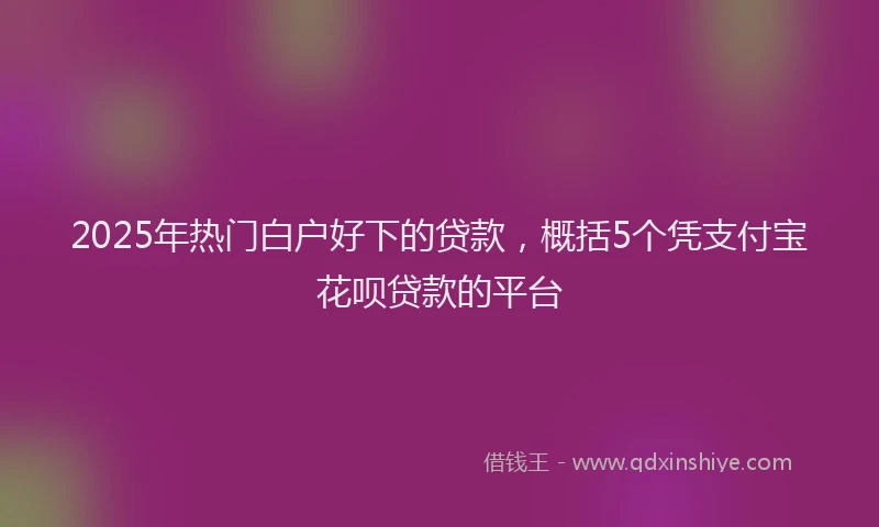 2025年热门白户好下的贷款，概括5个凭支付宝花呗贷款的平台