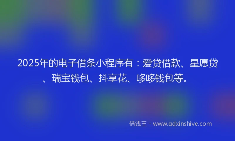 2025年的电子借条小程序有：爱贷借款、星愿贷、瑞宝钱包、抖享花、哆哆钱包等。