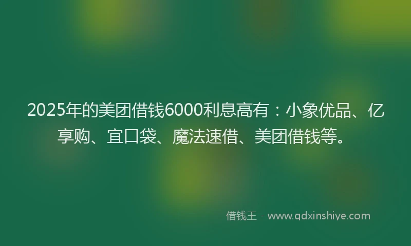 2025年的美团借钱6000利息高有：小象优品、亿享购、宜口袋、魔法速借、美团借钱等。
