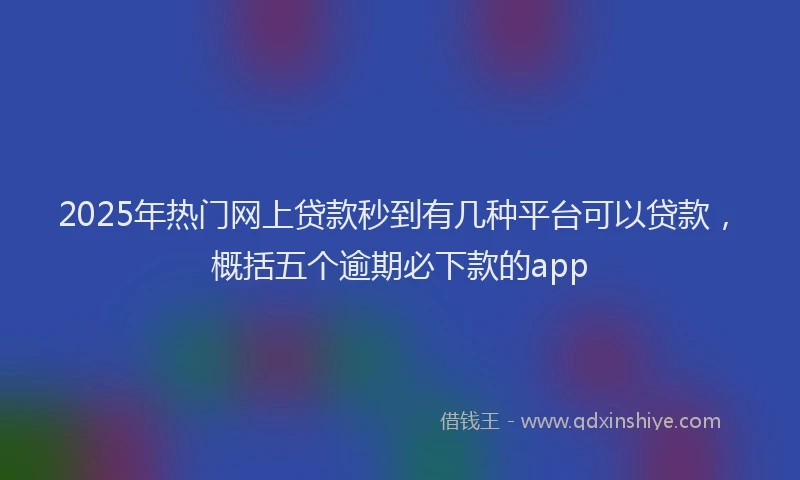 2025年热门网上贷款秒到有几种平台可以贷款，概括五个逾期必下款的app