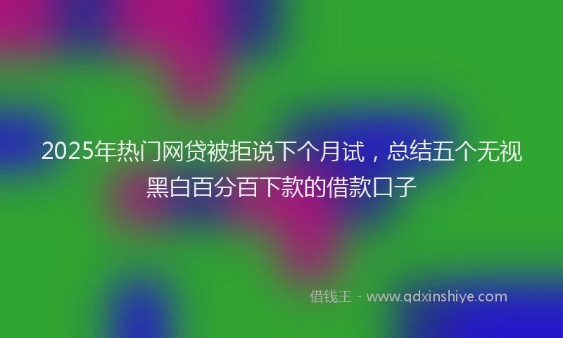 2025年热门网贷被拒说下个月试，总结五个无视黑白百分百下款的借款口子