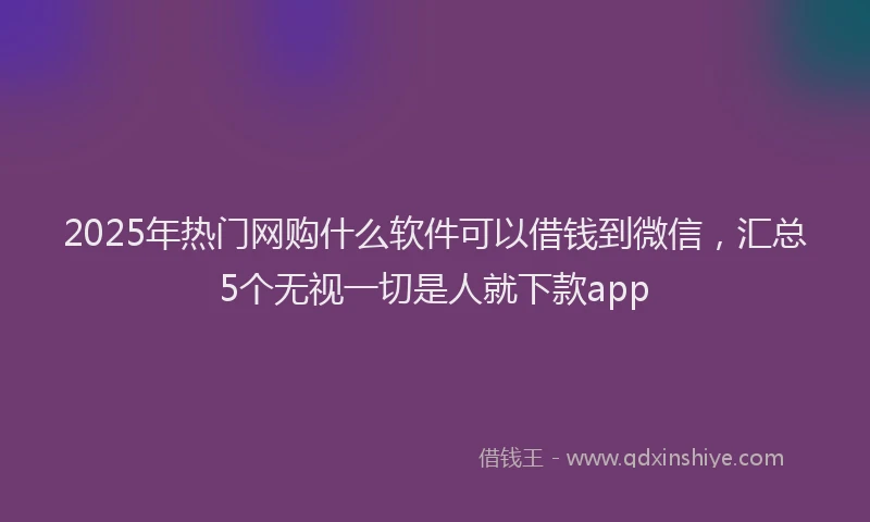 2025年热门网购什么软件可以借钱到微信，汇总5个无视一切是人就下款app